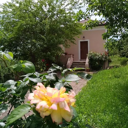 B&B L'antico Gelso 비기아노