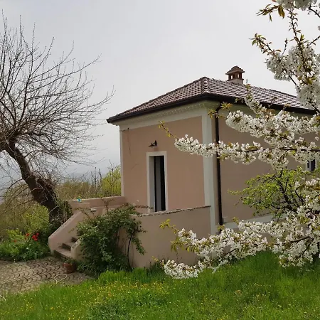 Couette-café L'antico Gelso Viggiano