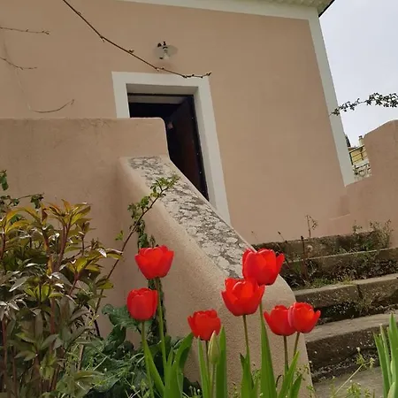 Bed & Breakfast L'antico Gelso *