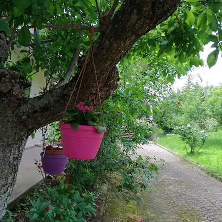 B&B L'antico Gelso 비기아노