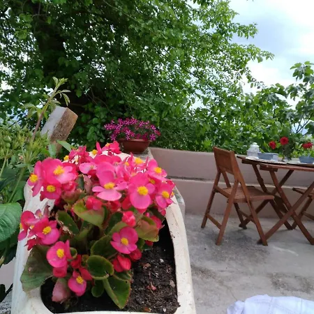 L'antico Gelso Couette-café Viggiano