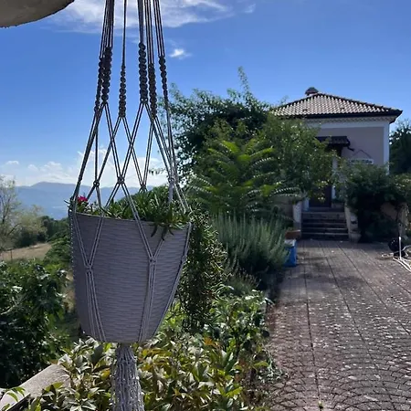 L'antico Gelso Bed & Breakfast
