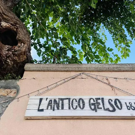 L'antico Gelso