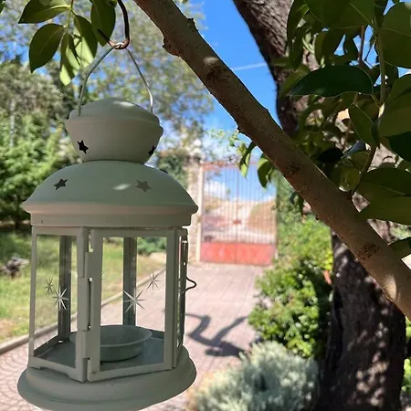 L'antico Gelso B&B *