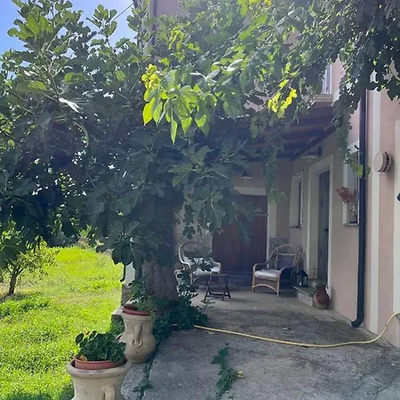 L'antico Gelso Bed & Breakfast