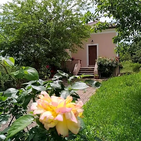 L'antico Gelso Bed & Breakfast *