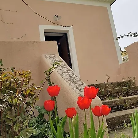 L'antico Gelso Bed & Breakfast *