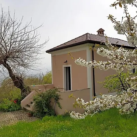 Bed & Breakfast L'antico Gelso Viggiano