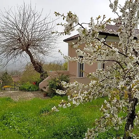 Bed & Breakfast L'antico Gelso Viggiano