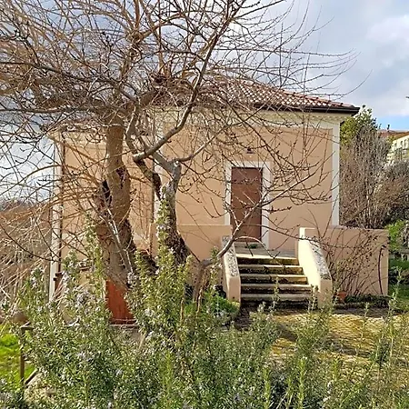 Bed & Breakfast L'antico Gelso *