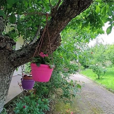Bed & Breakfast L'antico Gelso *