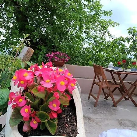 L'antico Gelso Bed & Breakfast Viggiano