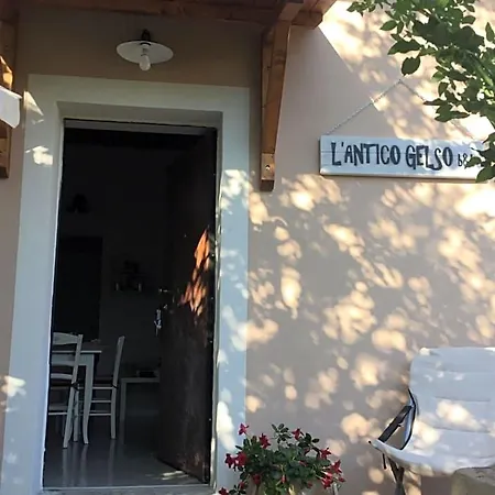 L'antico Gelso