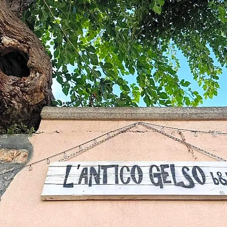 L'antico Gelso