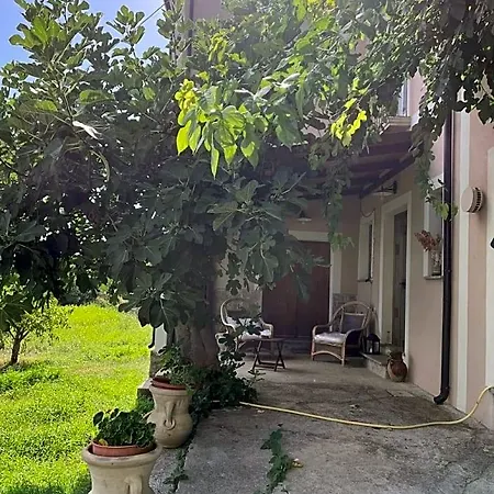 L'antico Gelso