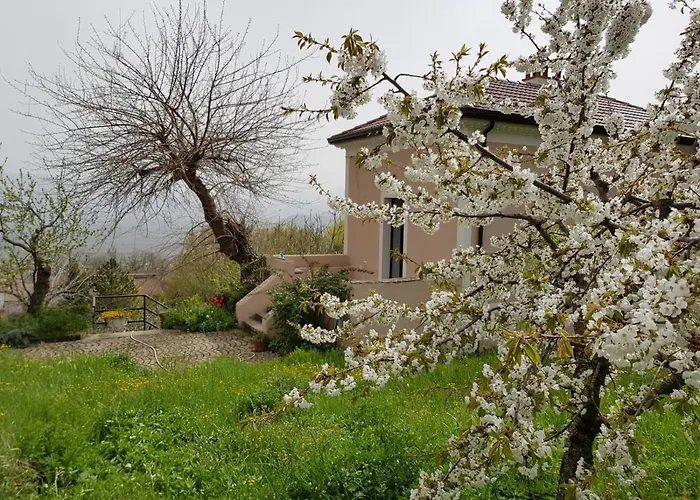 Bed and Breakfast L'antico Gelso