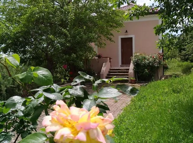 Couette-café L'antico Gelso Viggiano