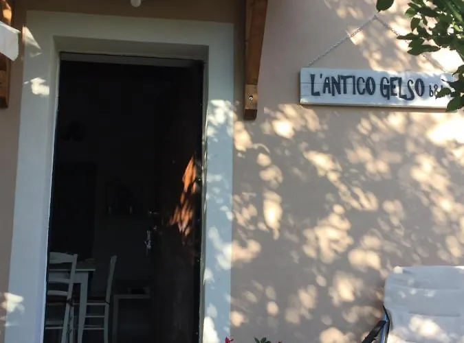 L'antico Gelso Viggiano