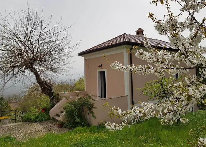 Bed & Breakfast L'antico Gelso Viggiano