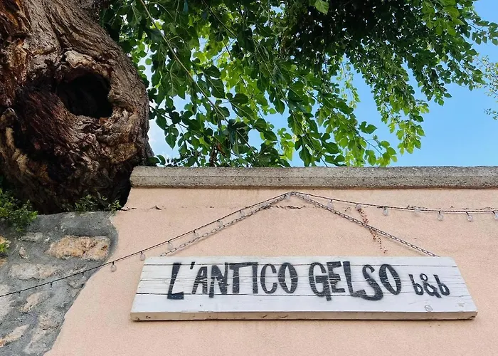 L'antico Gelso