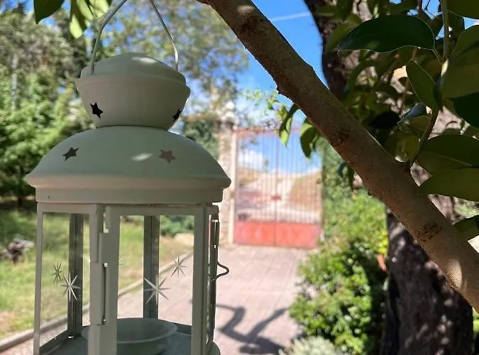 L'antico Gelso Bed & Breakfast *