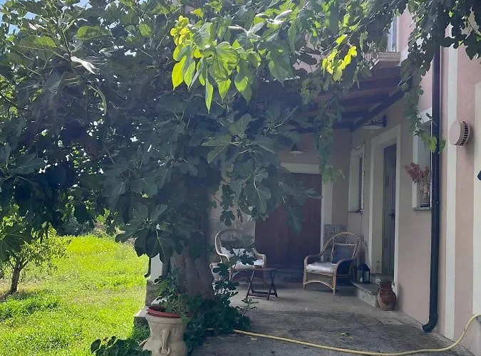 L'antico Gelso Bed & Breakfast